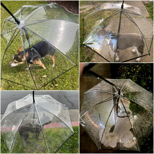 Enjoying Dog Umbrella for Small Dogs, Clear Dog Umbrella Leash, Rainproof Waterproof, Doggy Walking Rain Umbrella with Adjustable Leash, Small Puppy Outdoor Rain Gear